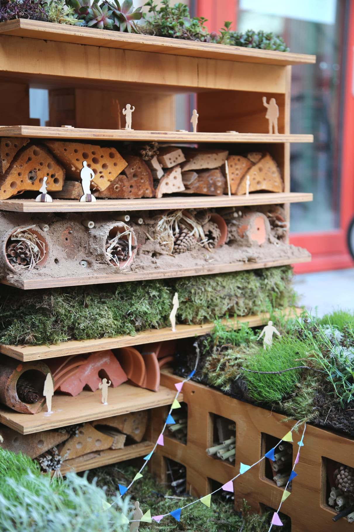 Shelves filled with drilled logs, pine cones and moss