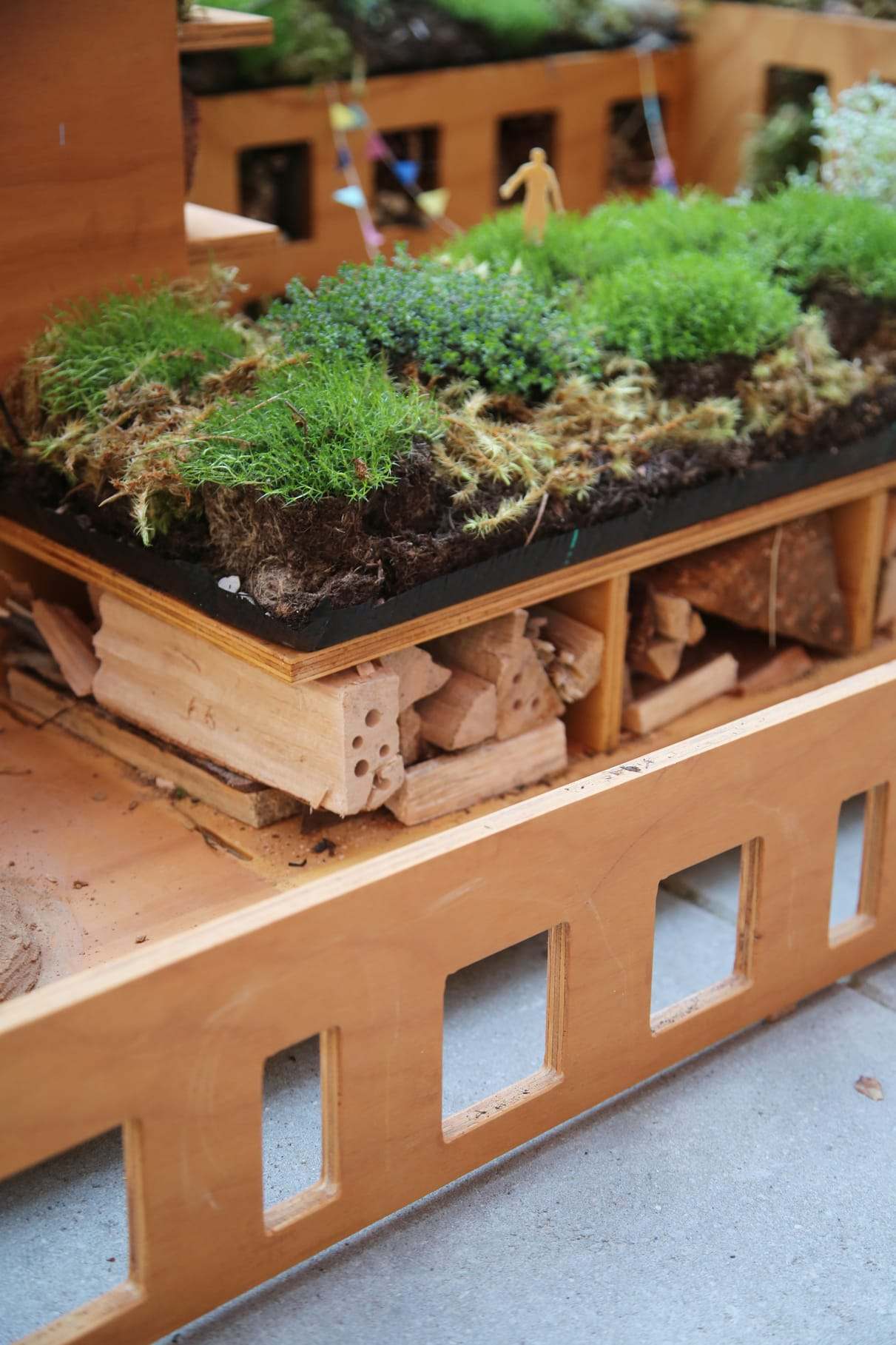 Detail of the planted roof: lichen, moss and sedum growing over the edge of the plywood structure