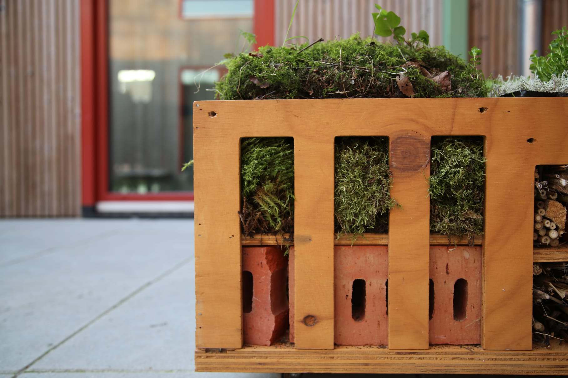 The front panel with terracotta pots and moss set between the plywood ribs