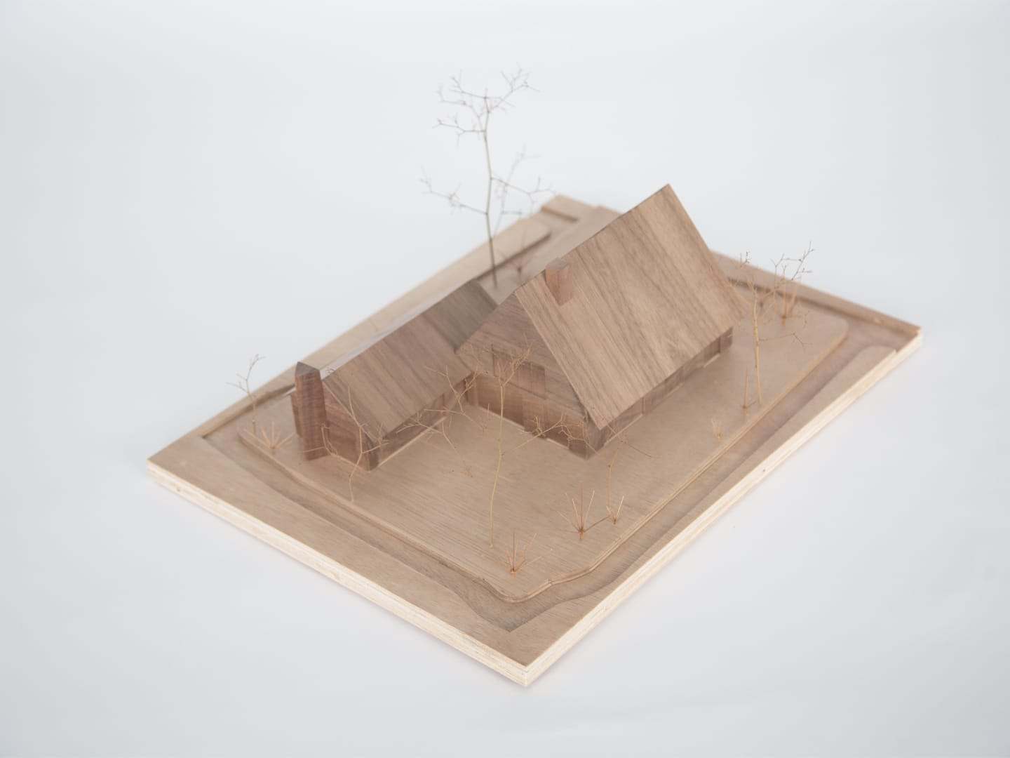 The house from above, its volume recessed into the carved base
