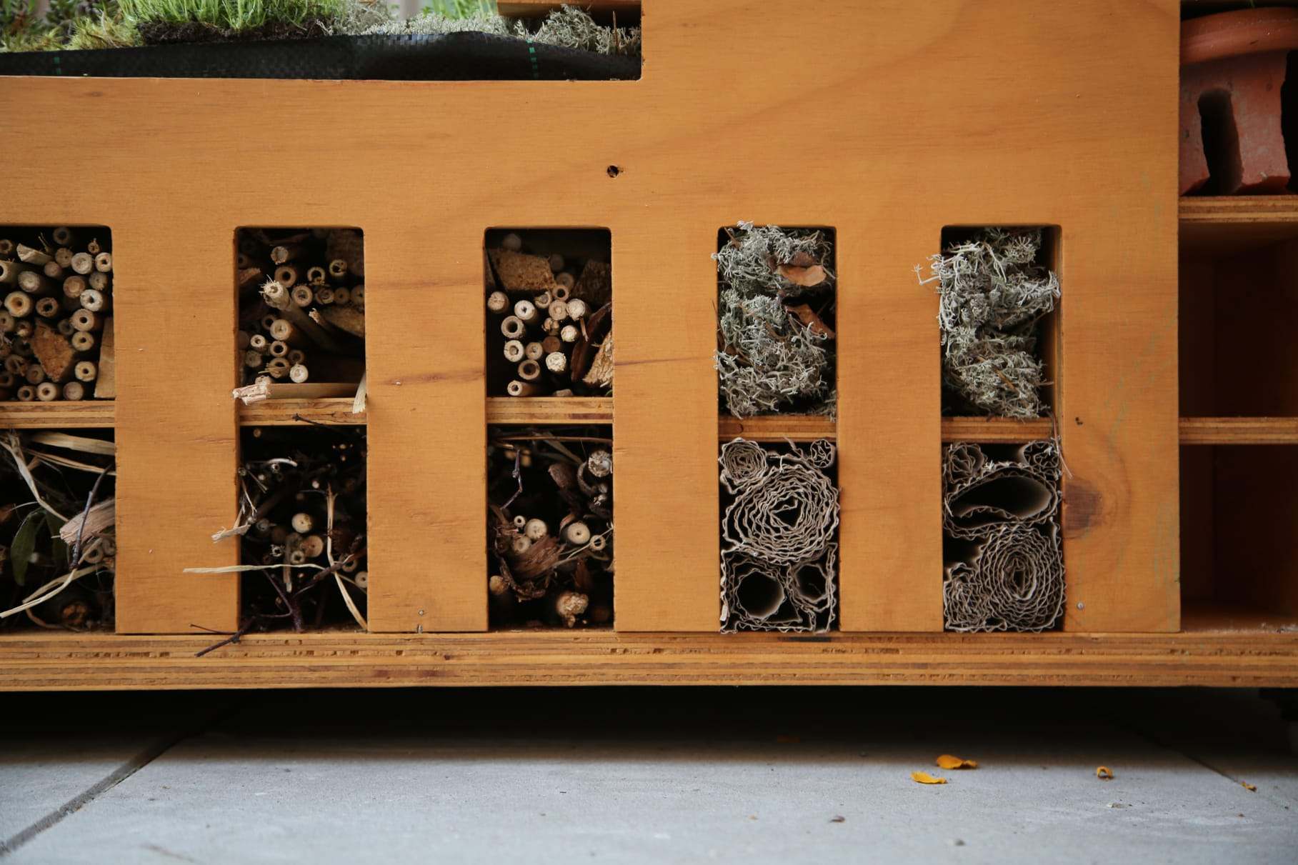 The full front with every compartment filled with reed, cones and bark