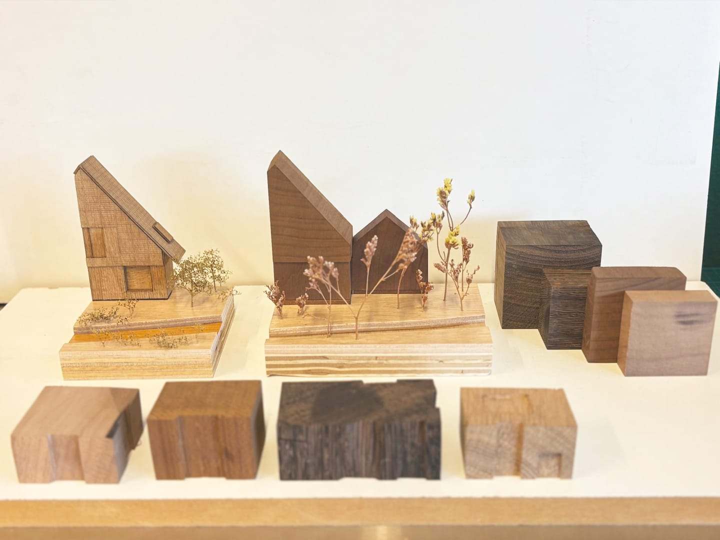 Wooden building models and sample blocks in different woods on a shelf