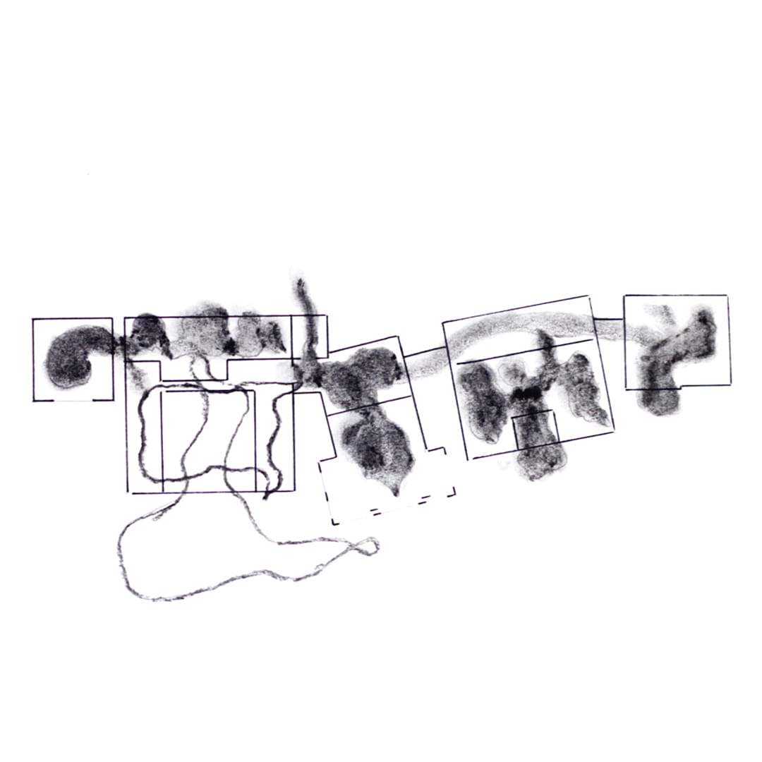 Charcoal drawing of boxed shapes joined by a loose line