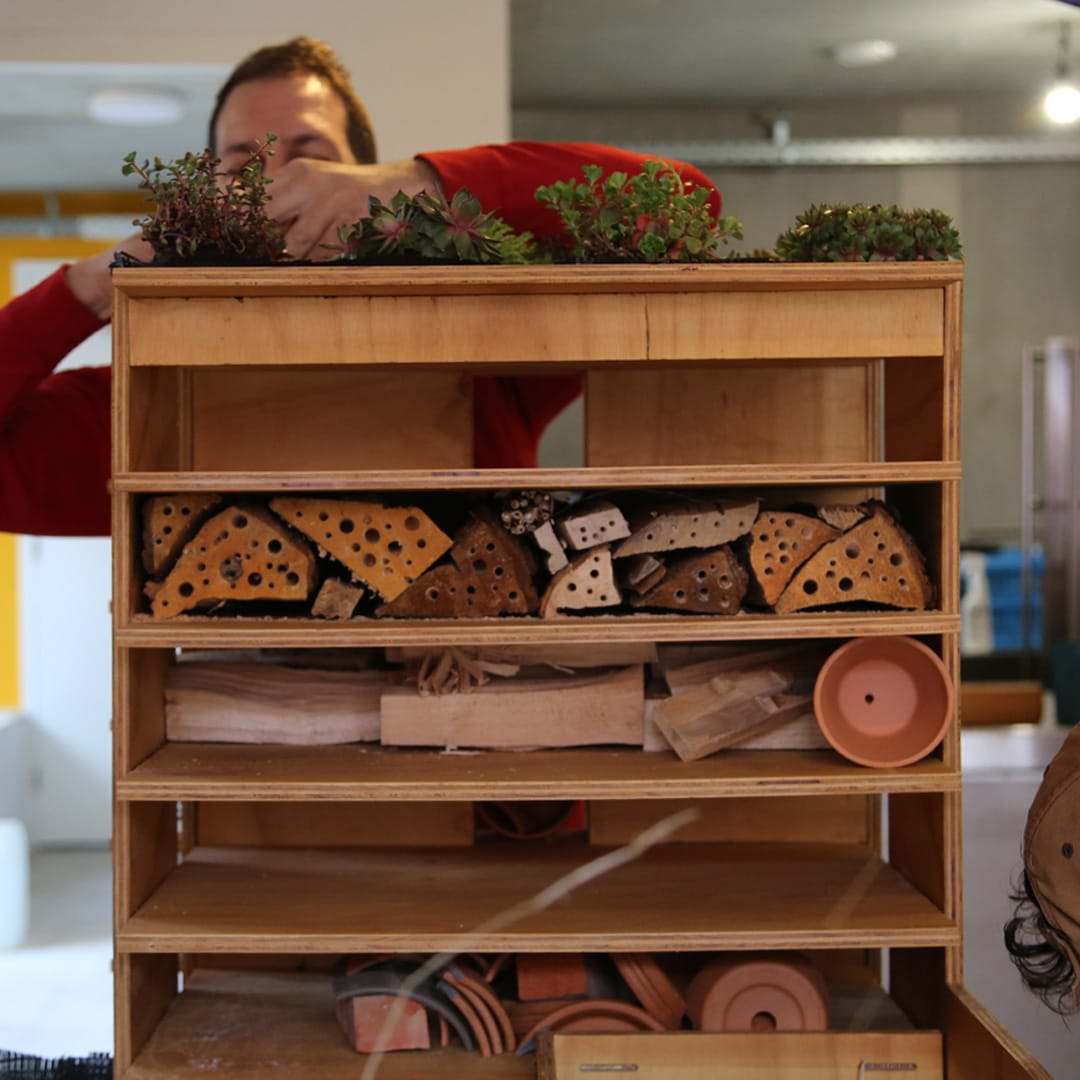 A wooden insect hotel with a planted green roof, filled with perforated blocks, bricks and clay pots