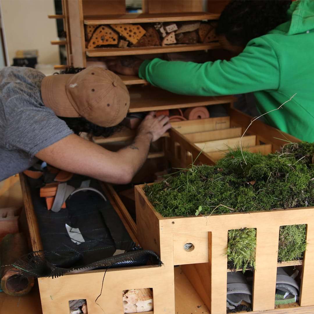 A resident placing natural material in the lower shelves