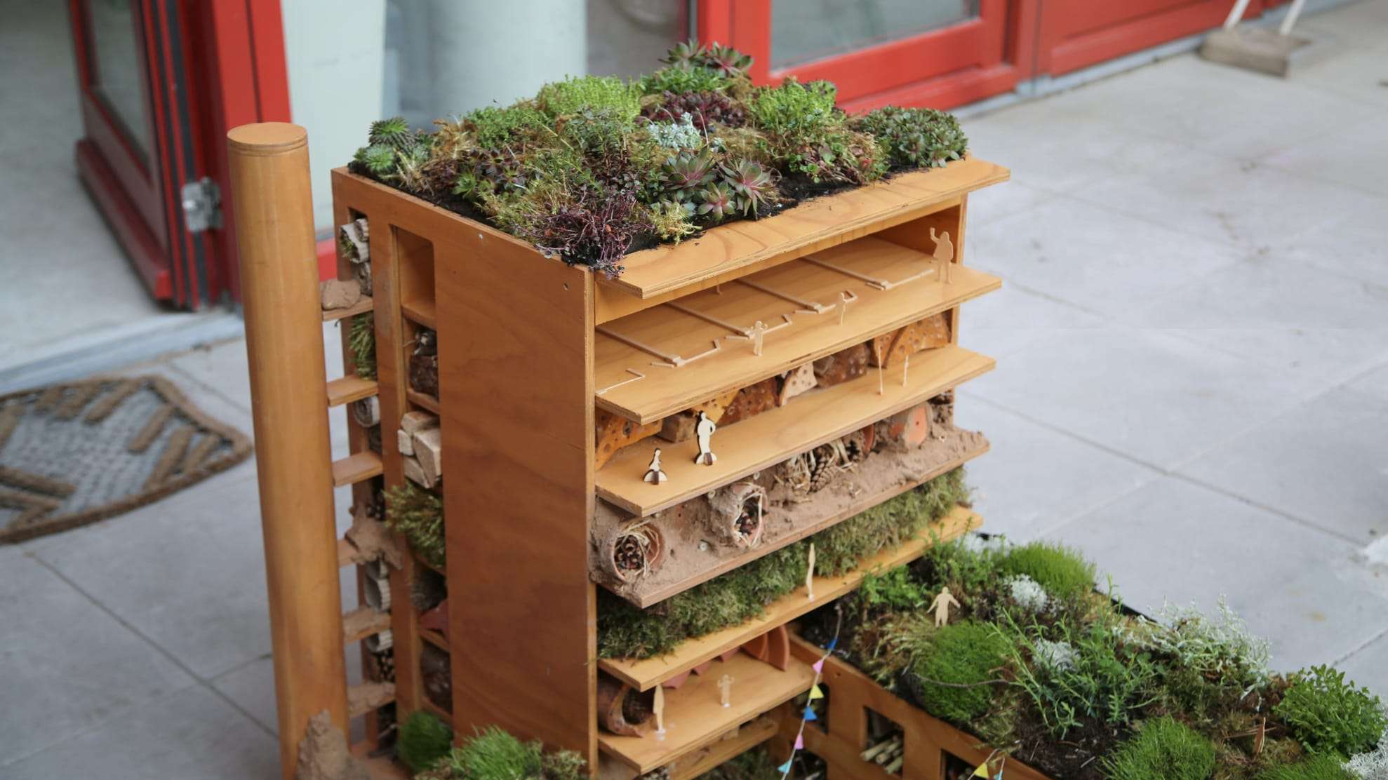 The insect hotel: a plywood structure with open shelving and a planted roof of moss and sedum